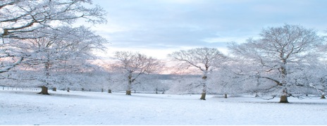 Winterlandschaft
