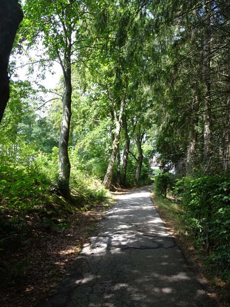 DSC00056 DSC00056