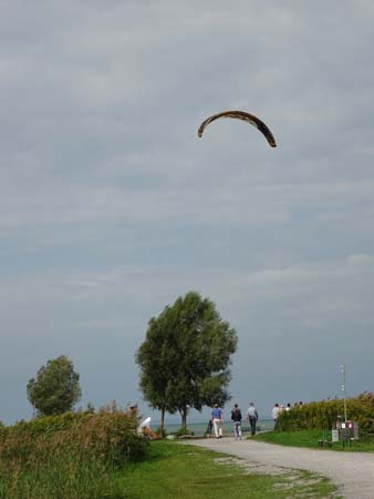 DSC02778 DSC02778