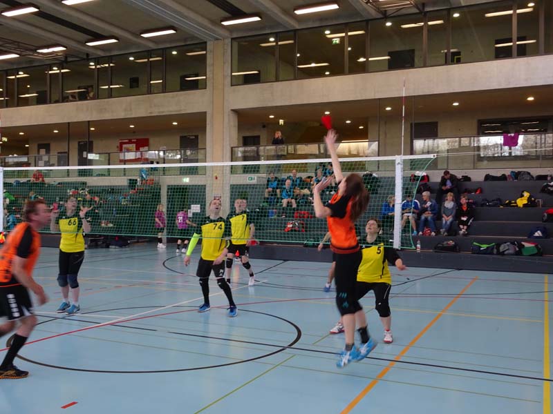 DSC03220 DSC03220