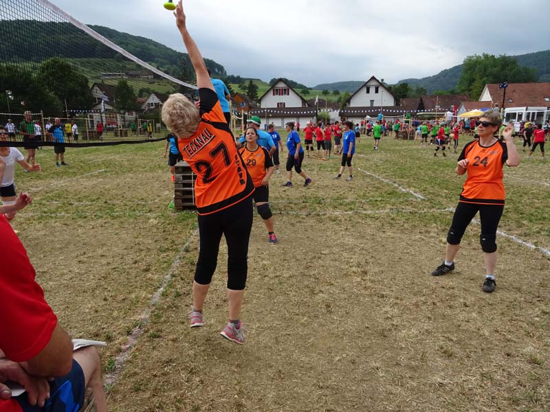DSC03914 DSC03914