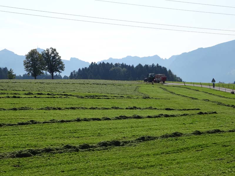 DSC04825 DSC04825