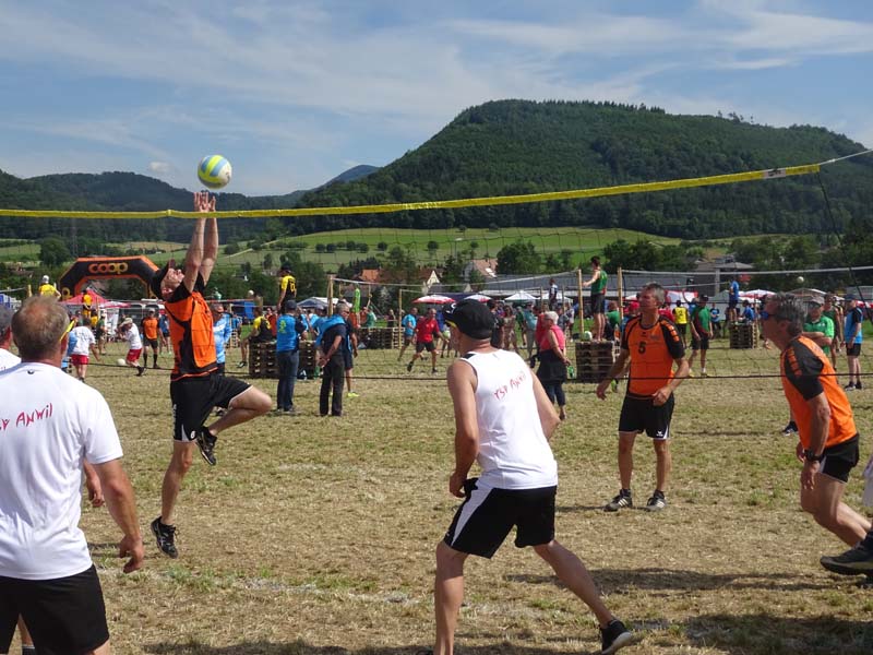 DSC06551 DSC06551