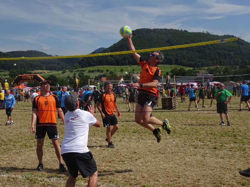 DSC06553 DSC06553