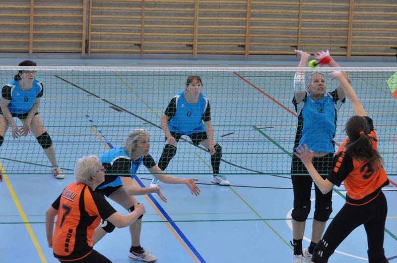 DSC_0795 DSC_0795