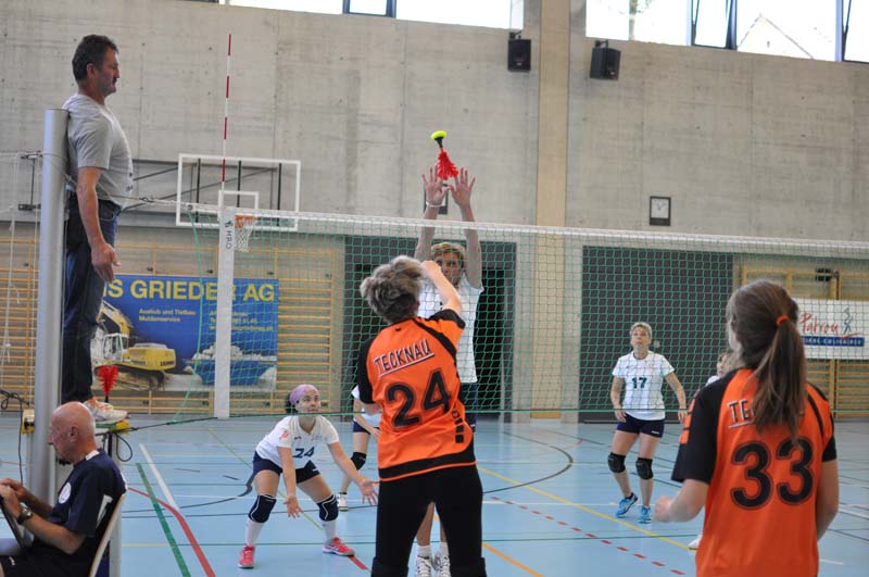 DSC_1239 DSC_1239