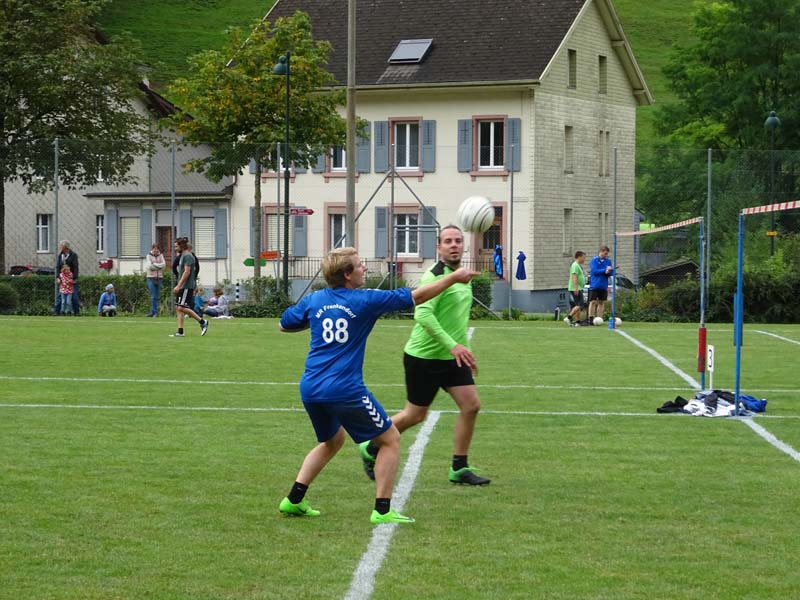DSC_4201 DSC_4201