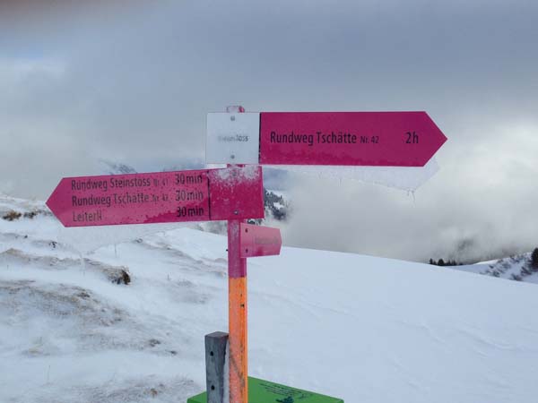 IMG_0009 IMG_0009