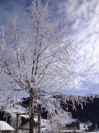 IMG_0033 IMG_0033
