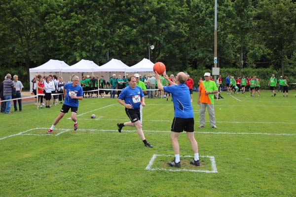 IMG_2244 IMG_2244