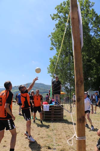 IMG_2356 IMG_2356