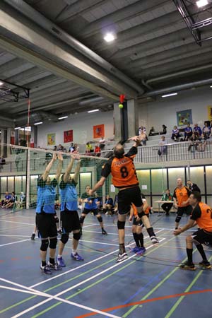 IMG_7503 IMG_7503
