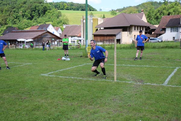 IMG_7984 IMG_7984