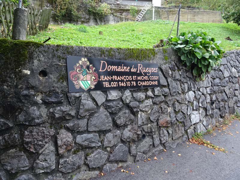 LAVAUX 16 LAVAUX 16