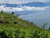 LAVAUX 31