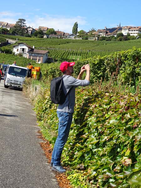 LAVAUX 32 LAVAUX 32