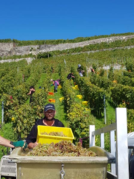 LAVAUX 34 LAVAUX 34