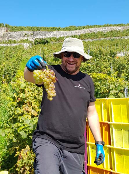 LAVAUX 35 LAVAUX 35