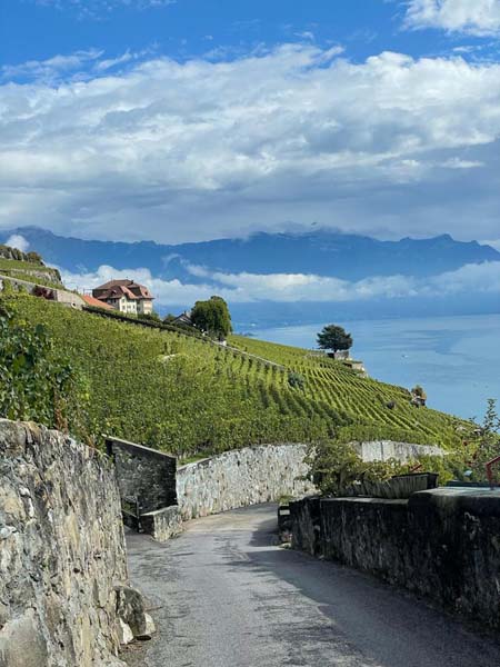 LAVAUX 41