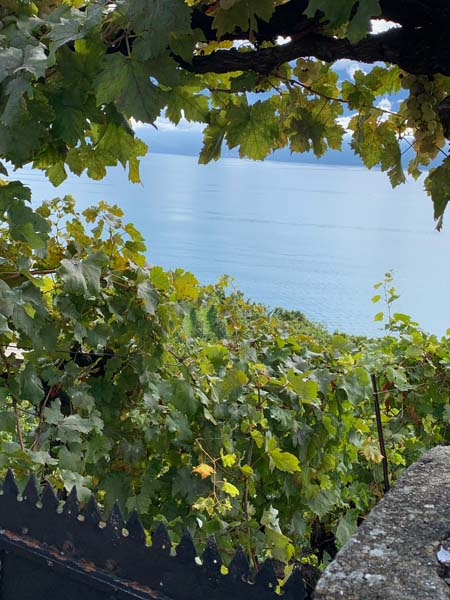 LAVAUX 45 LAVAUX 45