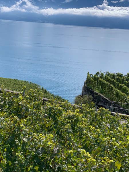 LAVAUX 46 LAVAUX 46