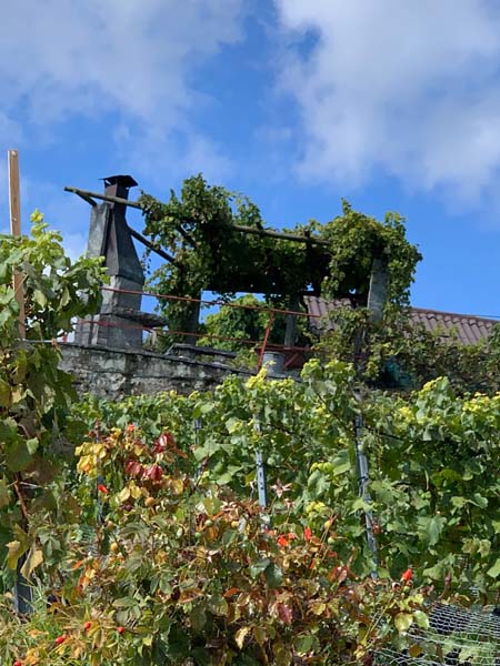 LAVAUX 47 LAVAUX 47