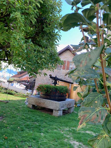 LAVAUX 49 LAVAUX 49