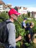 LAVAUX 51