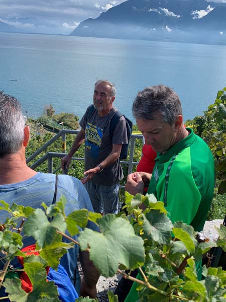 LAVAUX 52 LAVAUX 52