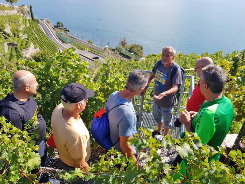 LAVAUX 53 LAVAUX 53