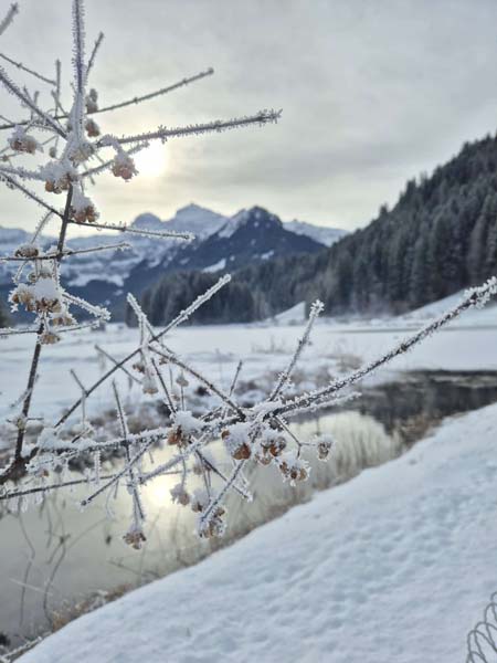 MR-FR-Skiweekend 2026-14