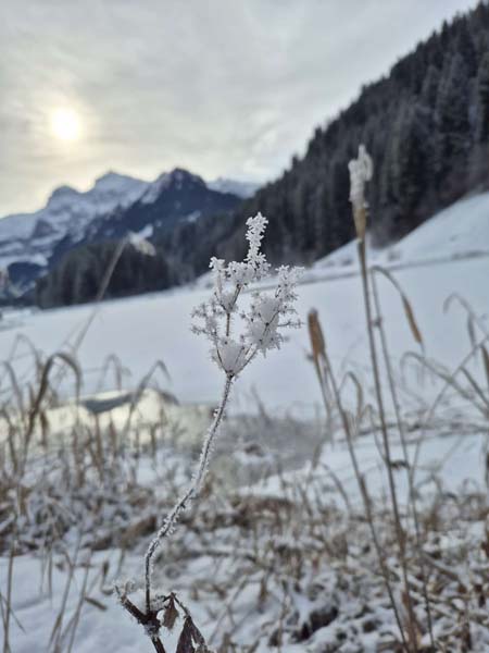 MR-FR-Skiweekend 2026-15