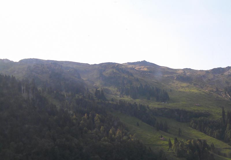 SANY0143 SANY0143