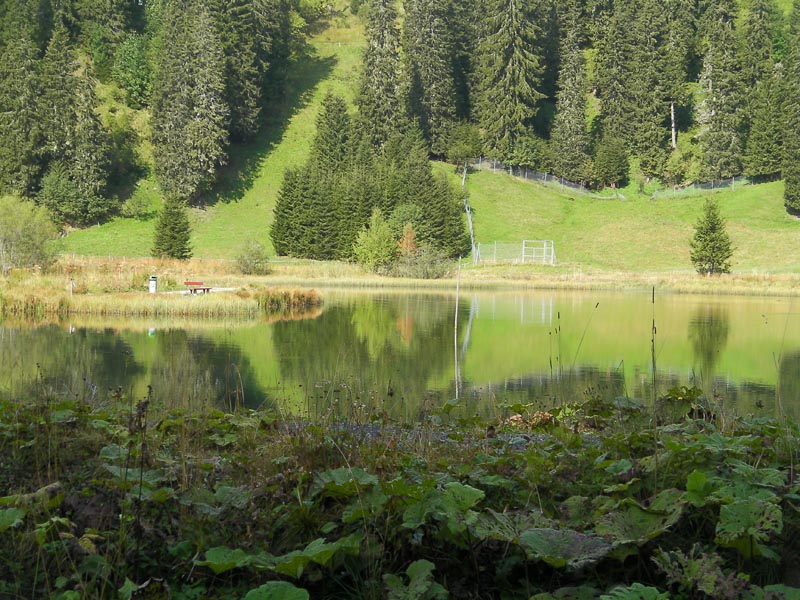 SANY0149 SANY0149