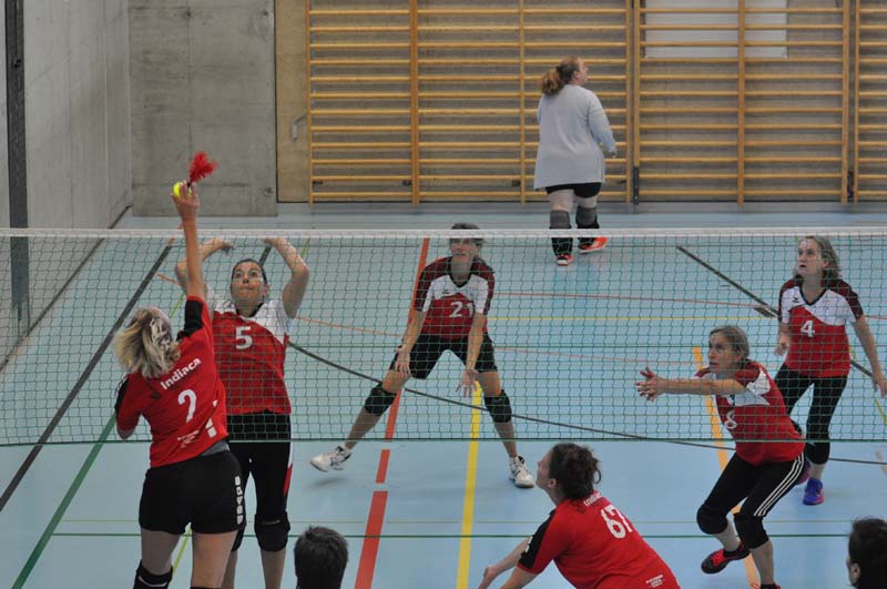 eital indiaca-2022-14 eital indiaca-2022-14