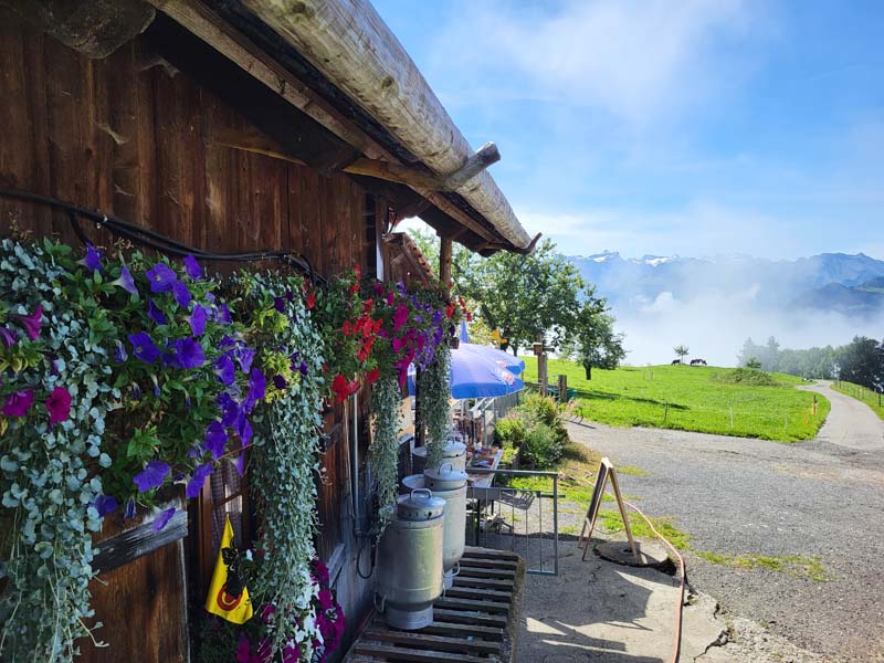 mr-reise 2025-12 mr-reise 2025-12