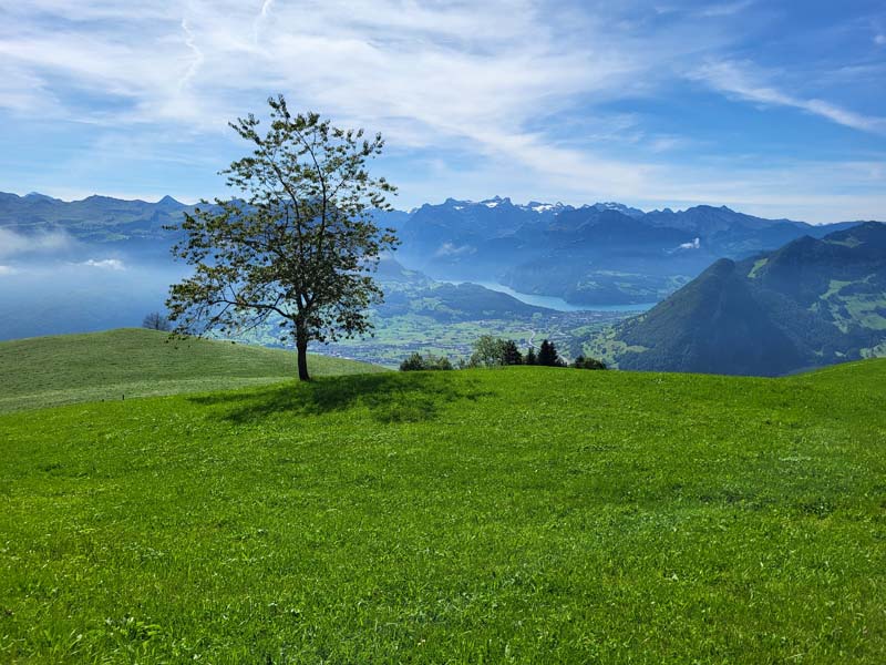 mr-reise 2025-21 mr-reise 2025-21