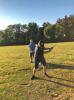 swing golf 2020-04